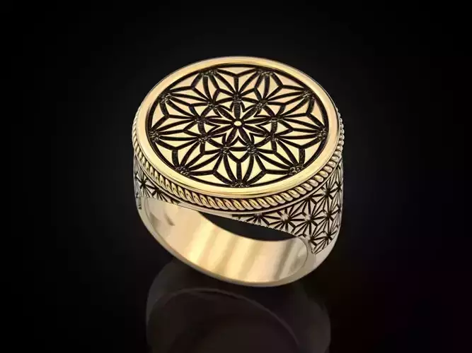  paterns  Geometric Ring  3D print model