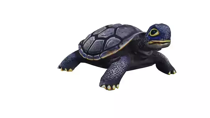 Gray Turtle low poly