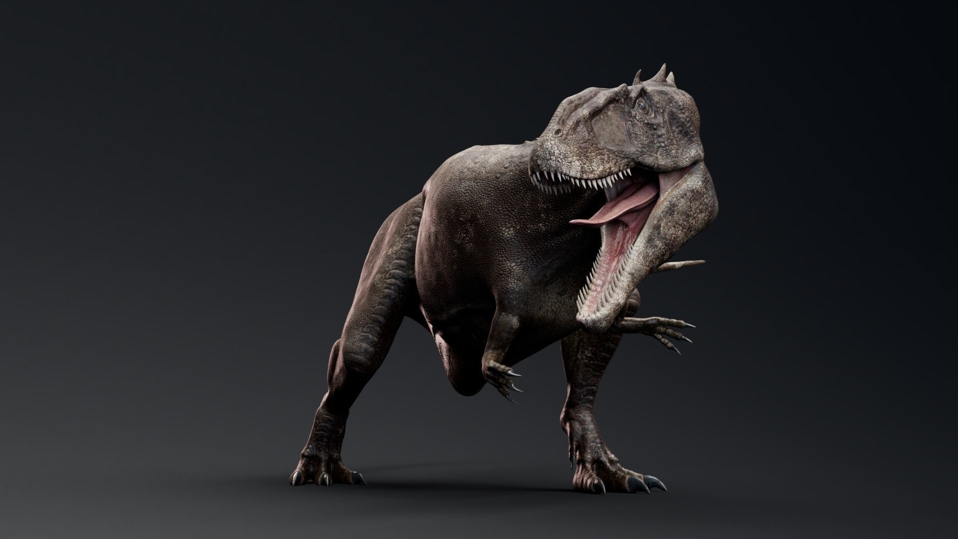 Dinosaur Carcharodontosaurus Low-poly 3D model_3
