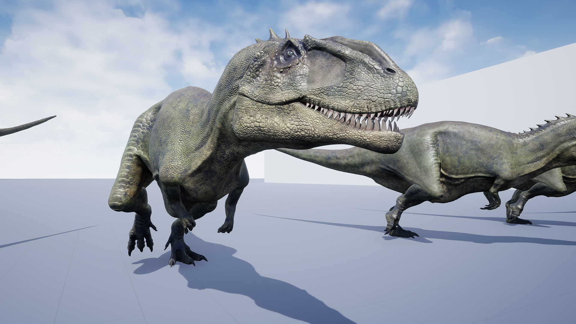 Dinosaur Carcharodontosaurus Low-poly 3D model_19