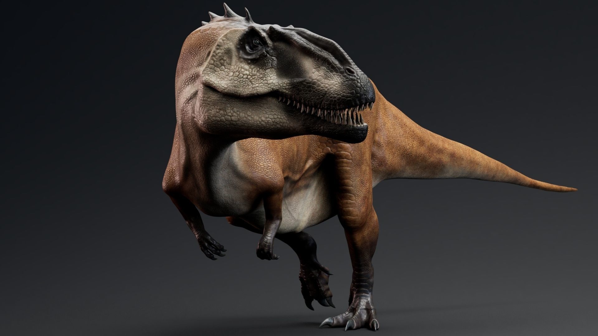 Dinosaur Carcharodontosaurus Low-poly 3D model_5
