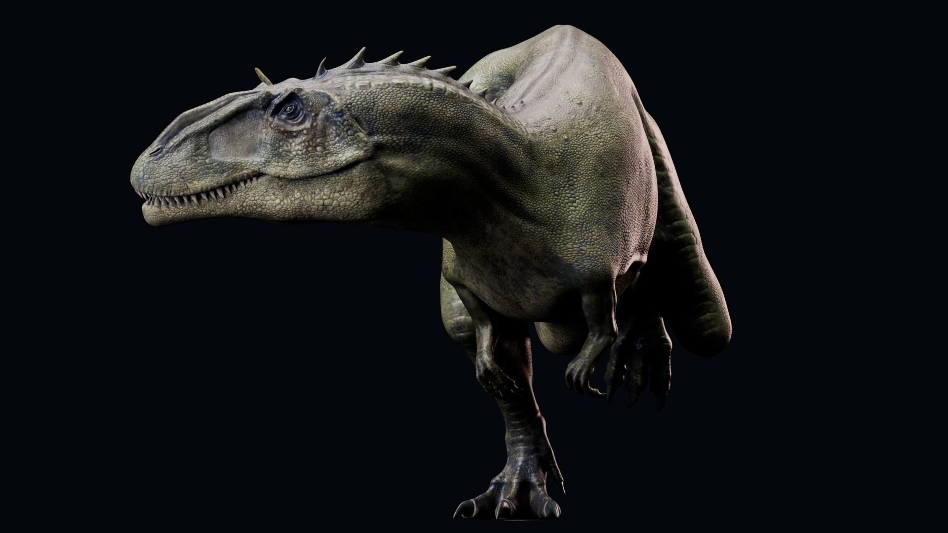 Dinosaur Carcharodontosaurus Low-poly 3D model_4