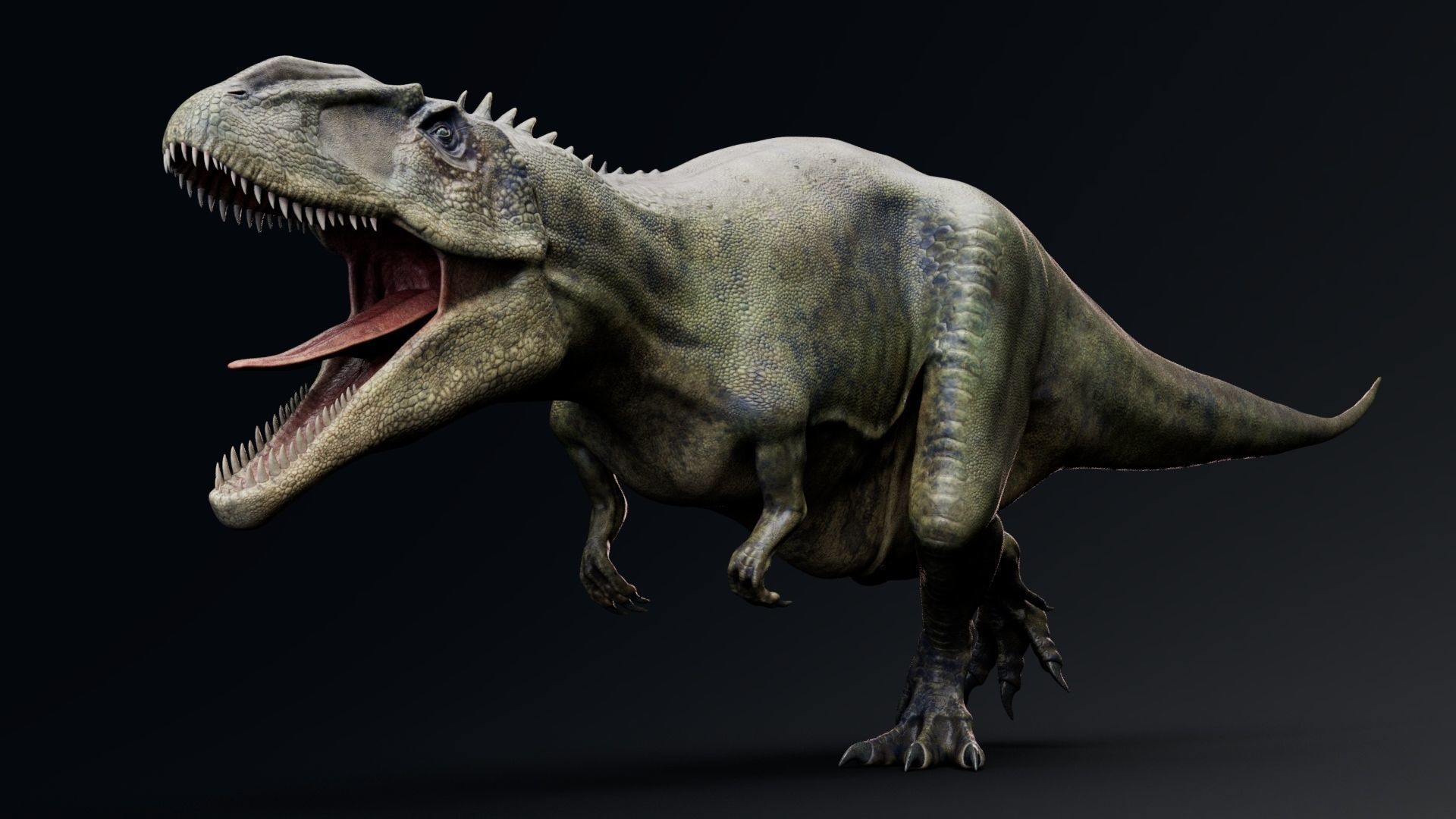 Dinosaur Carcharodontosaurus Low-poly 3D model_6