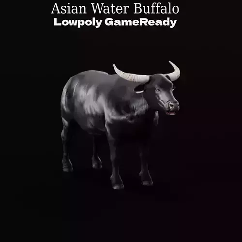 Asian Water Buffalo Low-poly 3D model
