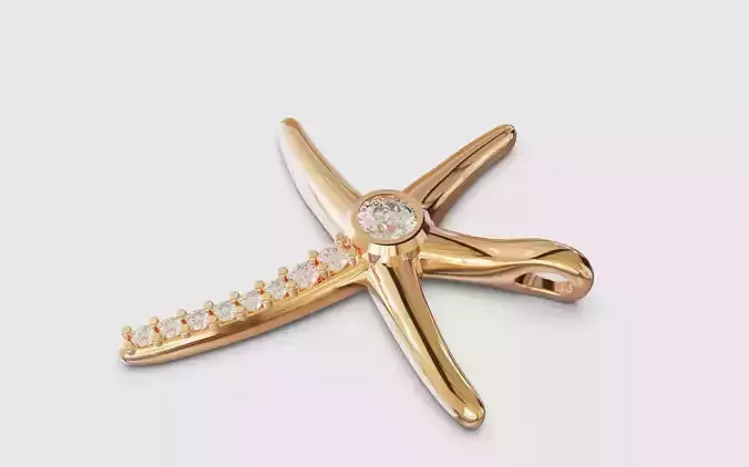 Sea star starfish with stones