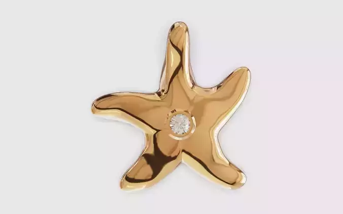 Sea star starfish with stone