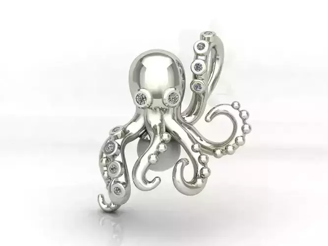 Octopus Sea life with stones