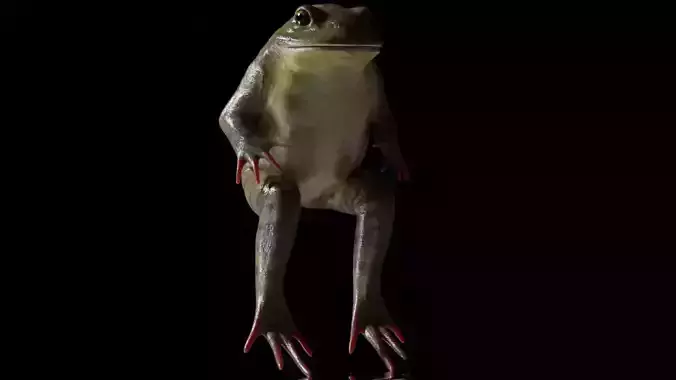 Frog rigged sitting pose