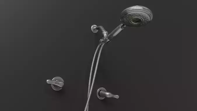 Shower Head and Handles