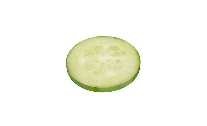 Prop13 A Slice of Cucumber Low-poly 3D model 6