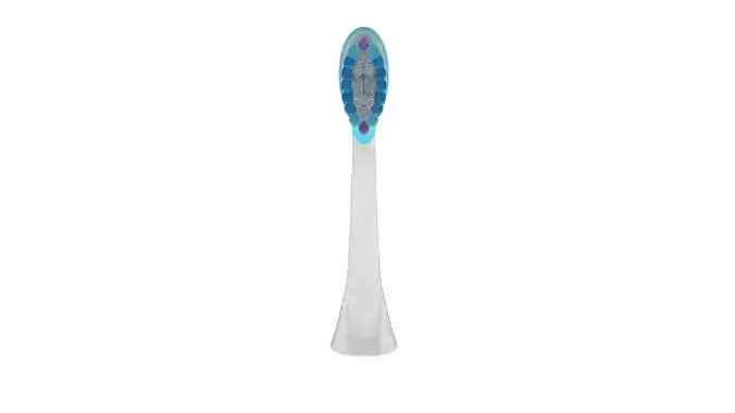 Toothbrush Head