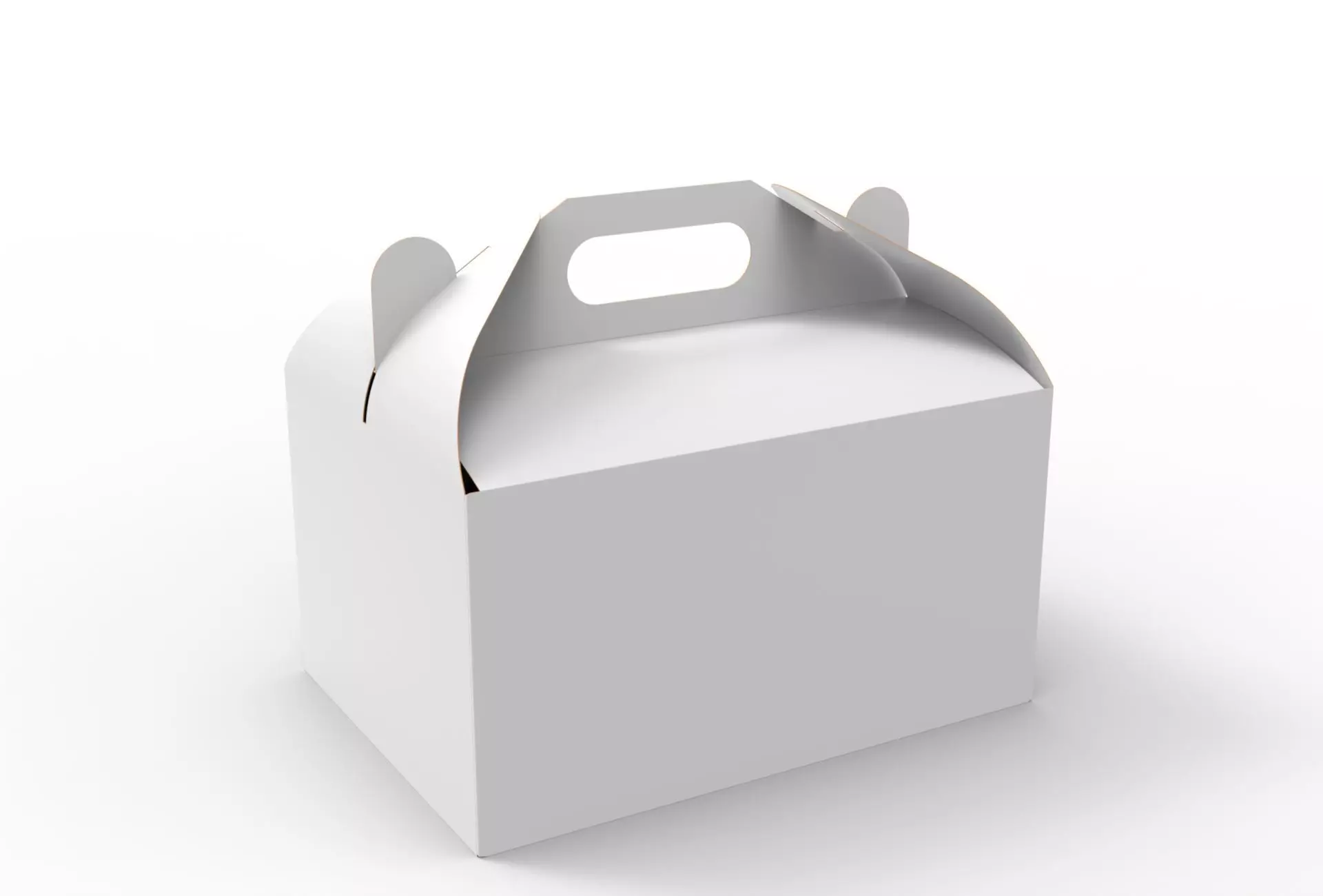 Gable Packaging Box Carrying Handle 280x200x150mm Texture_0