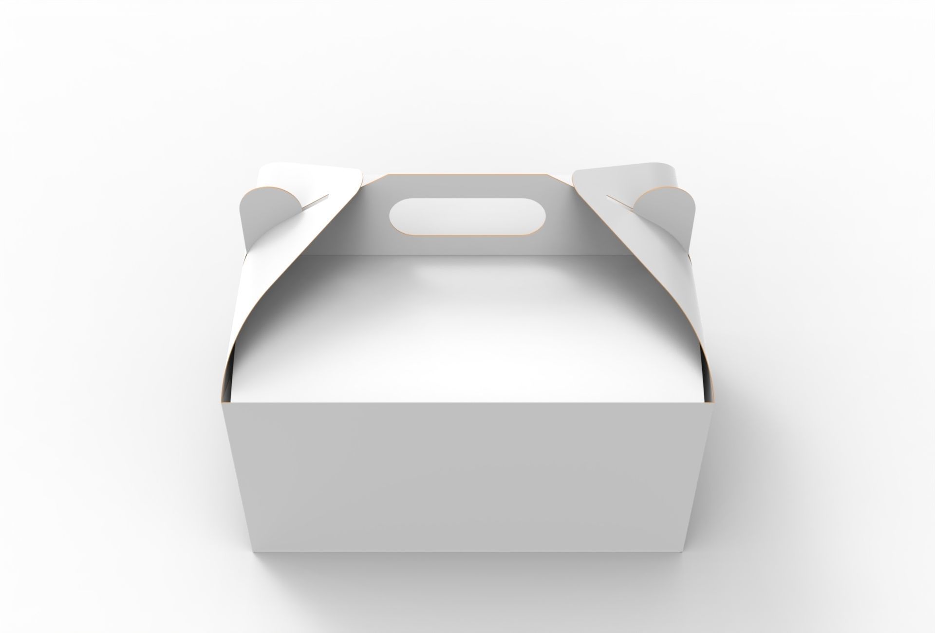 Gable Packaging Box Carrying Handle 280x200x150mm Texture_2