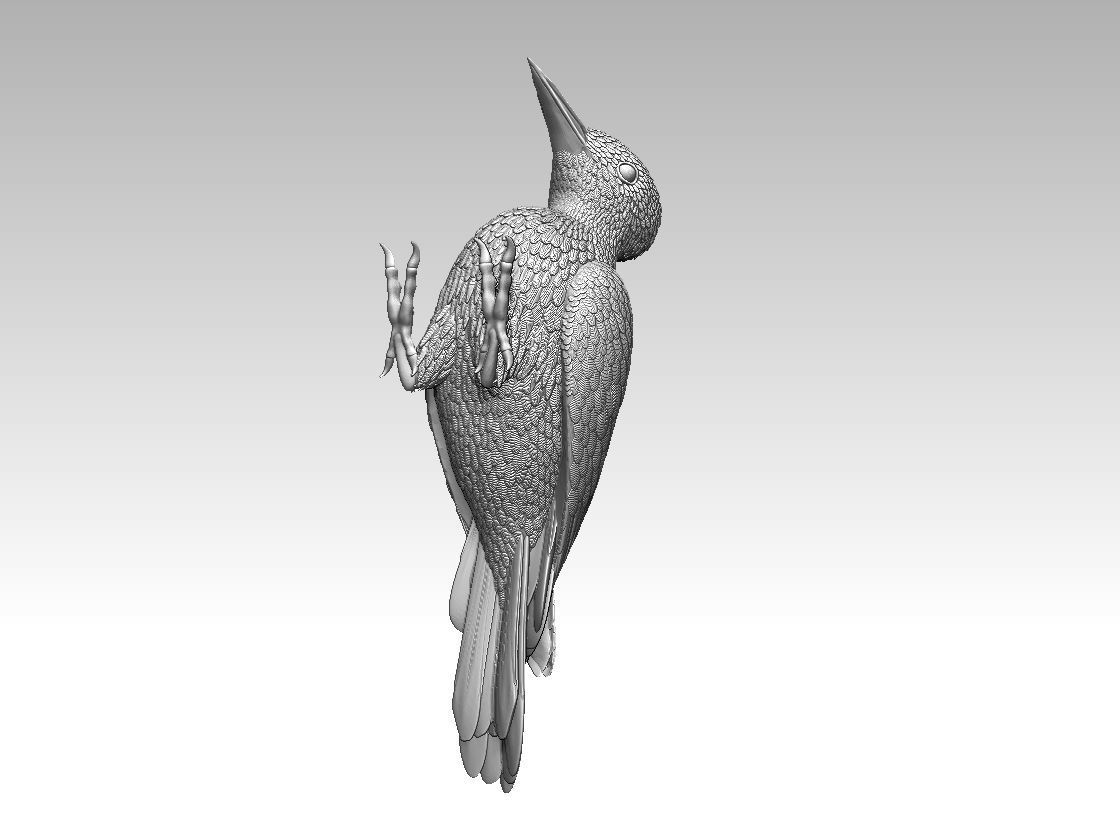 woodpecker 3D print model_12