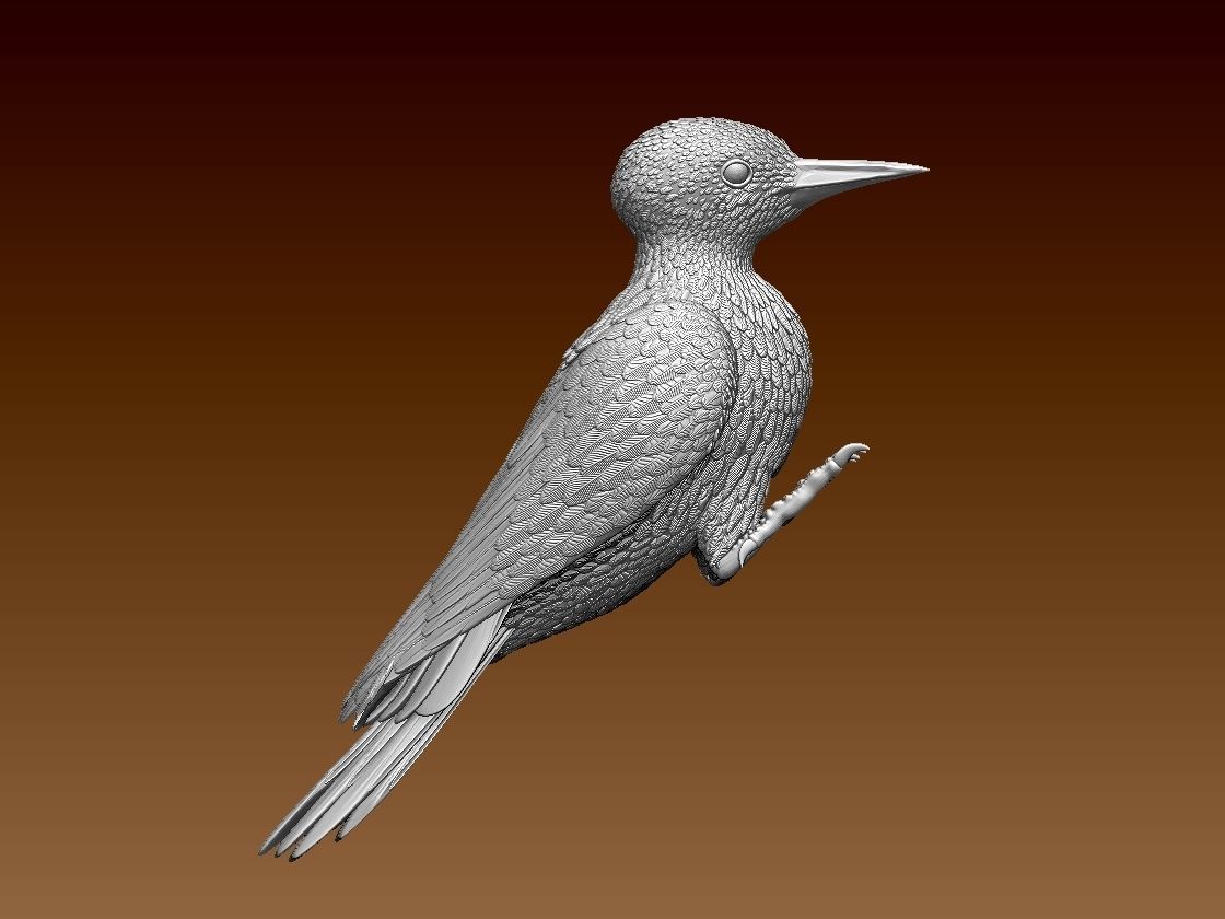 woodpecker 3D print model_1