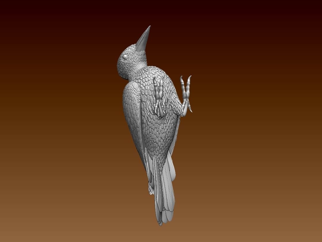 woodpecker 3D print model_31