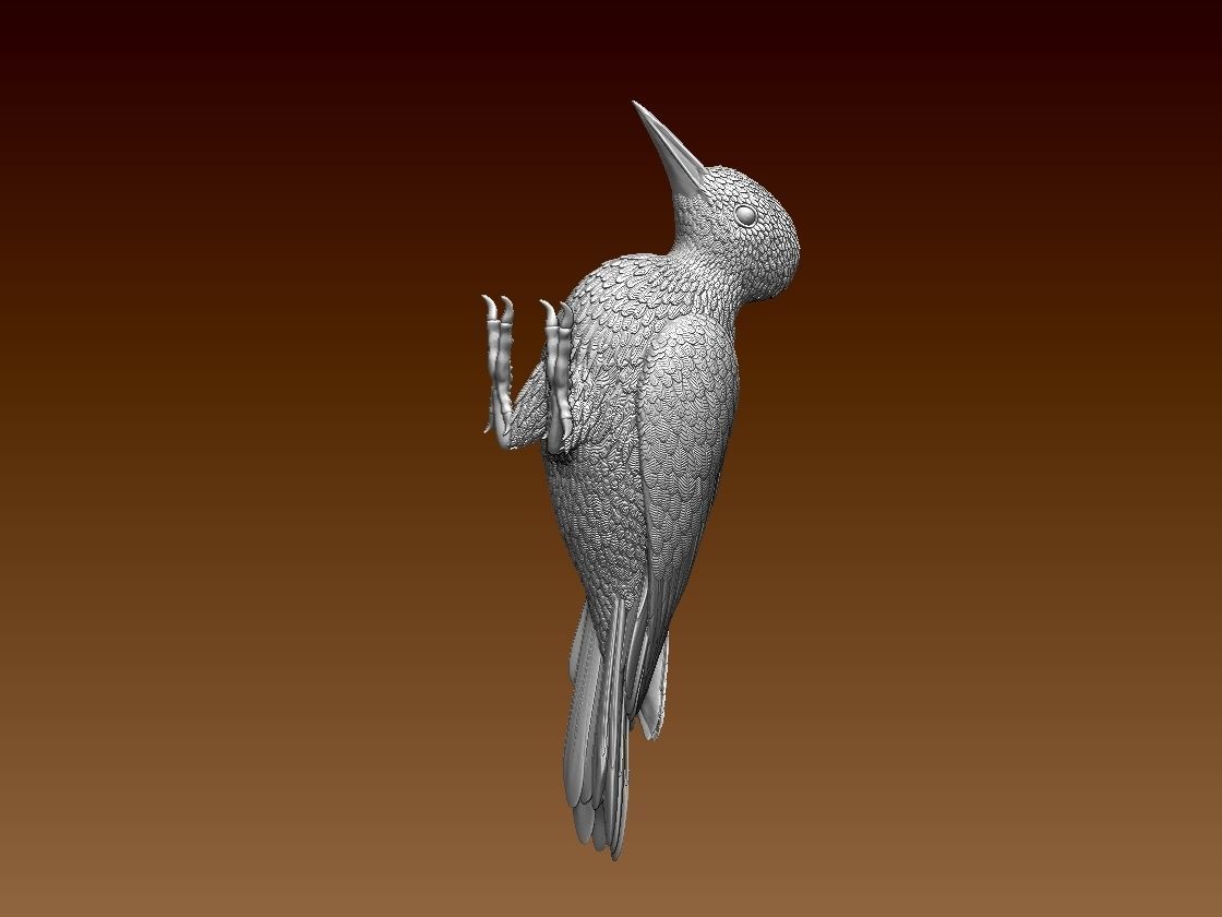 woodpecker 3D print model_2
