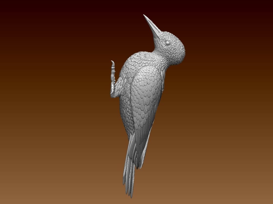 woodpecker 3D print model_4