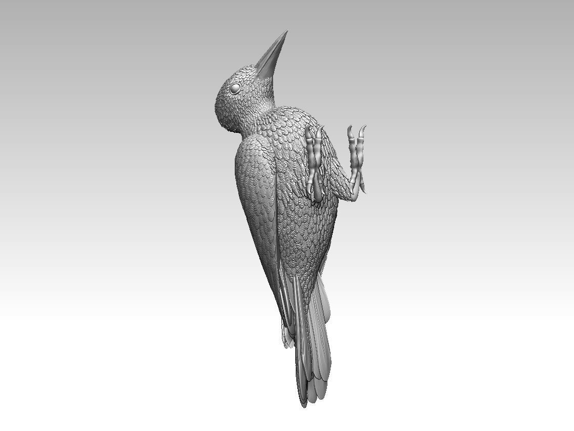 woodpecker 3D print model_32