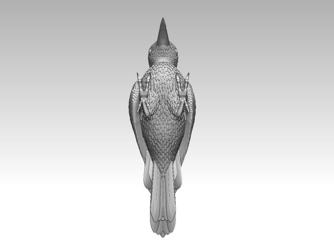 woodpecker 3D print model_48