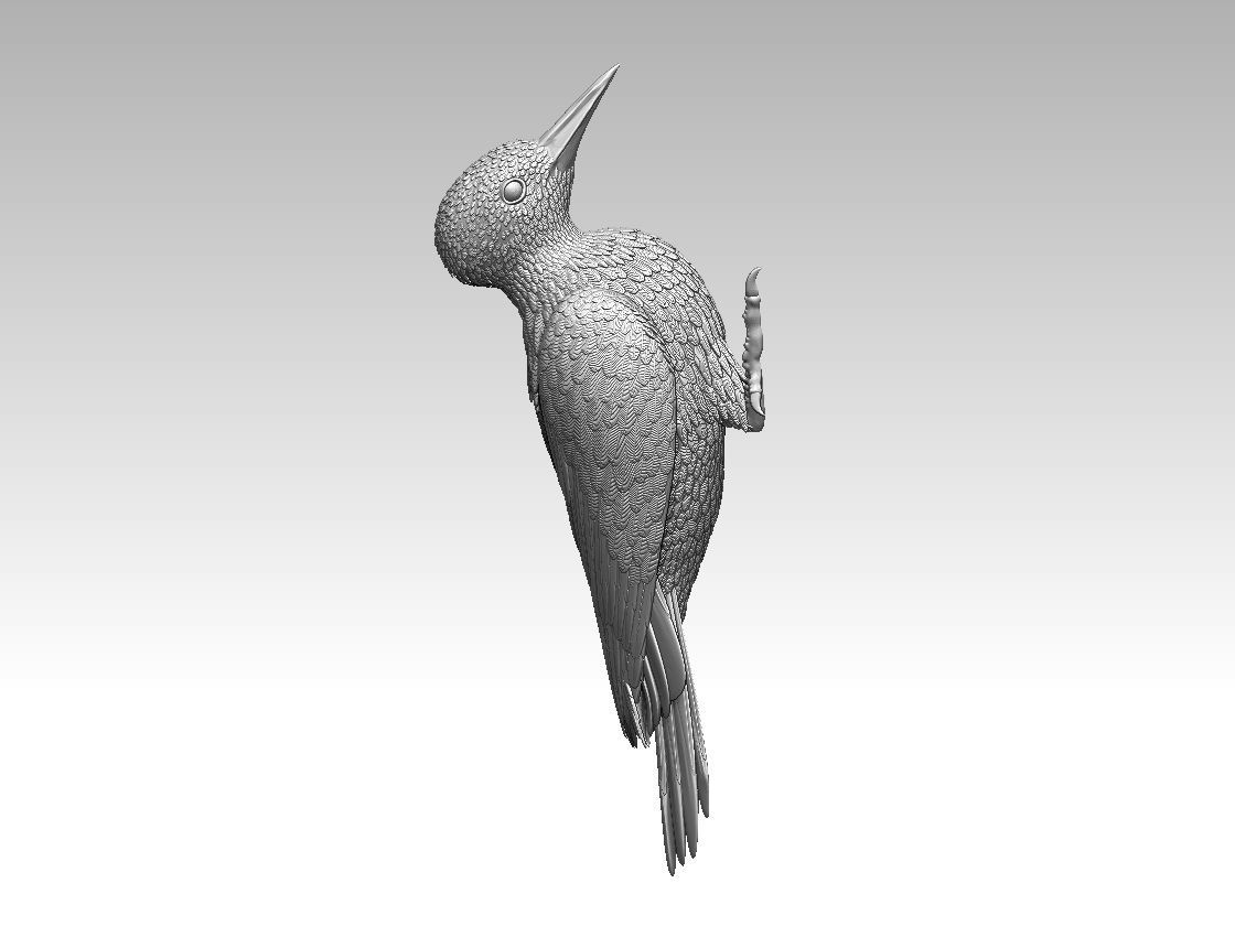 woodpecker 3D print model_27