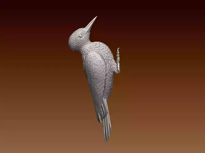 woodpecker 3D print model