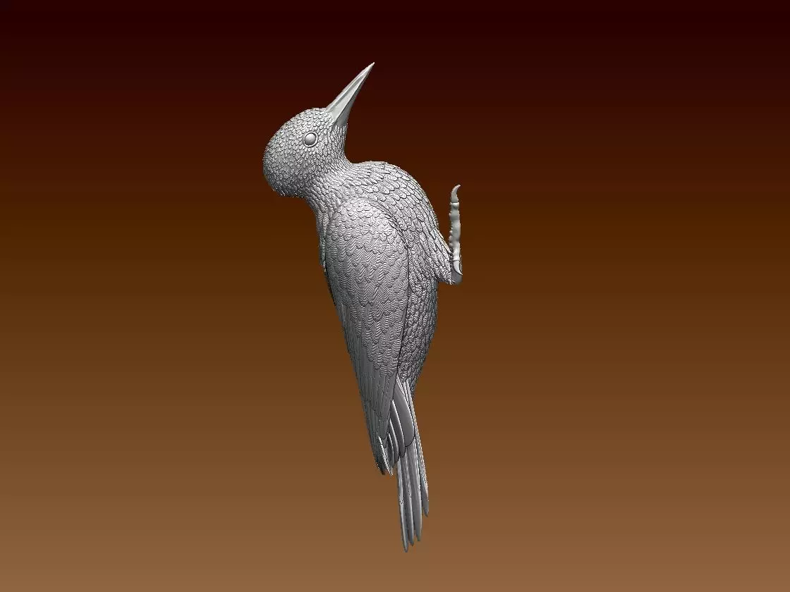 woodpecker 3D print model_0