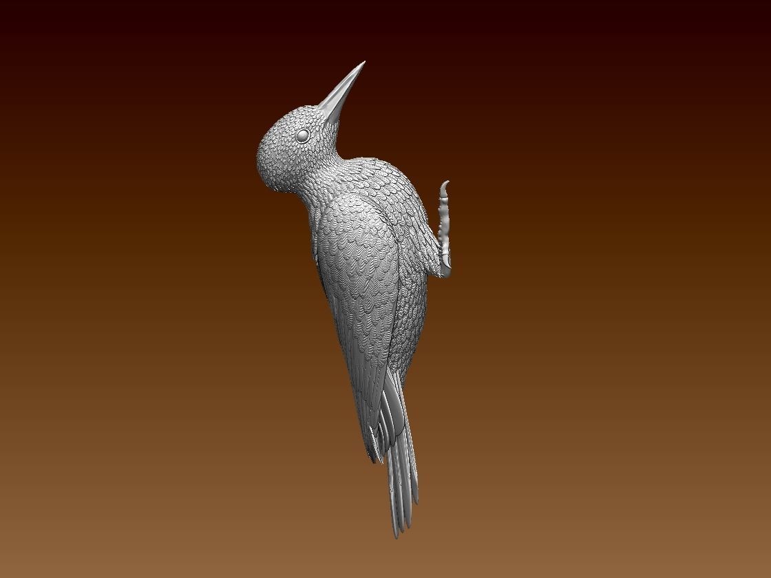 woodpecker 3D print model_20