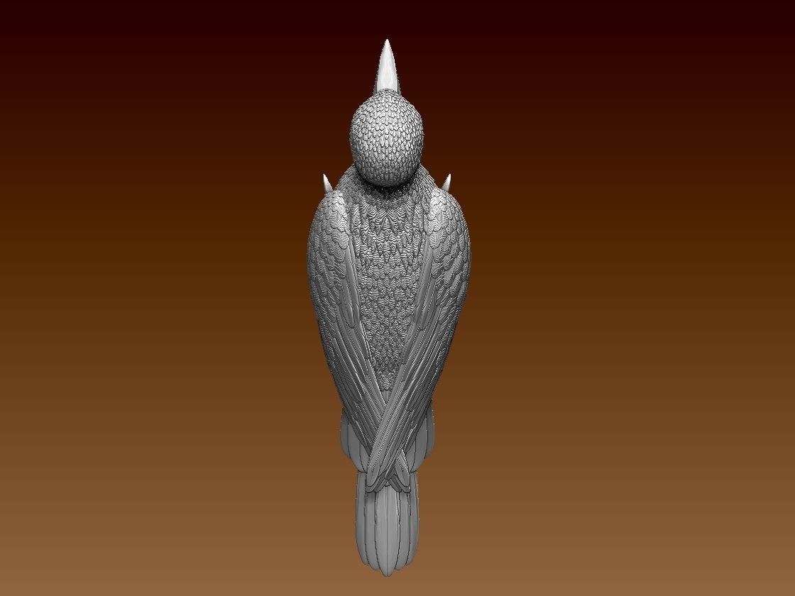 woodpecker 3D print model_26