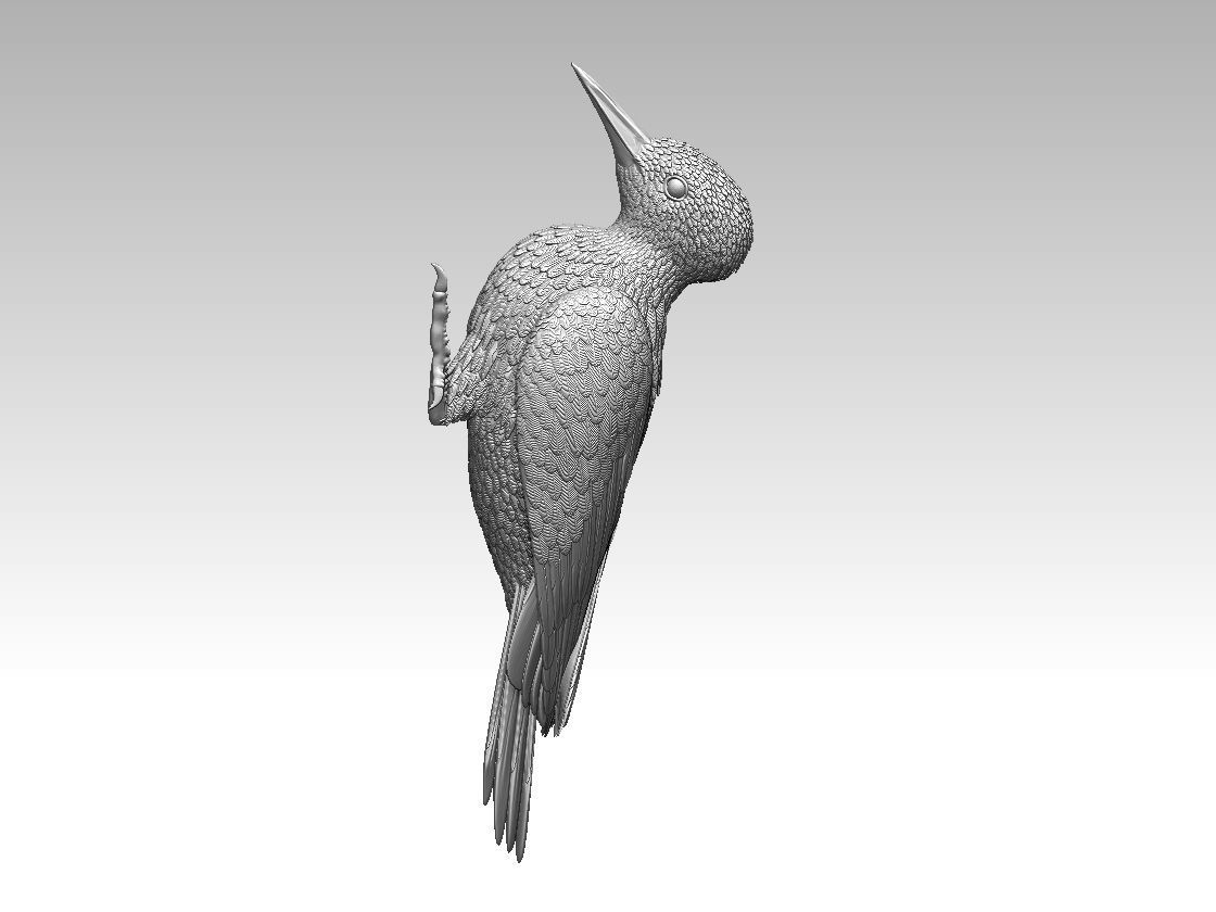 woodpecker 3D print model_10