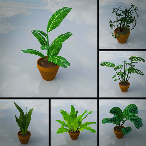 Lowpoly Indoor Plants Pack Low-poly 3D model