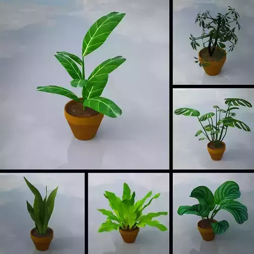 Lowpoly Indoor Plants Pack