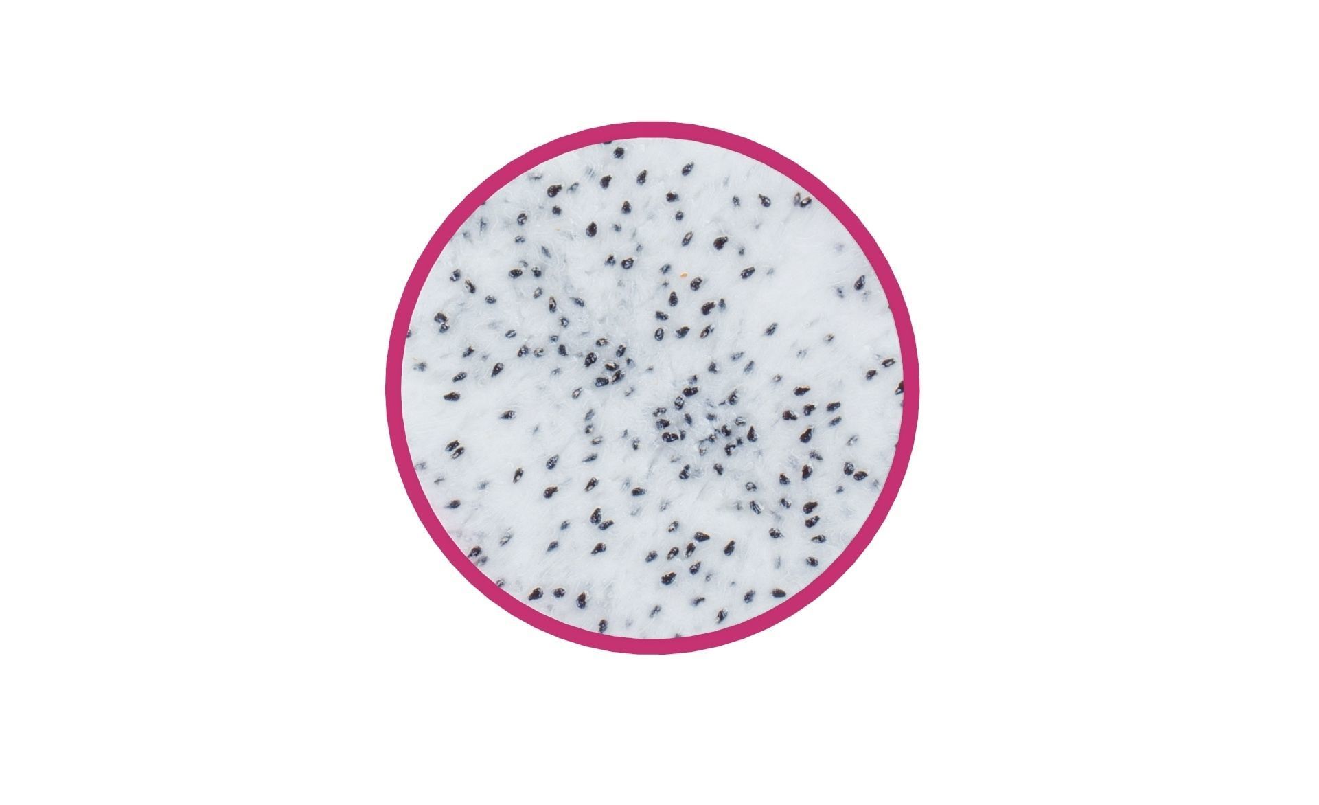 Prop14 A Slice of Dragon fruit Low-poly 3D model_2