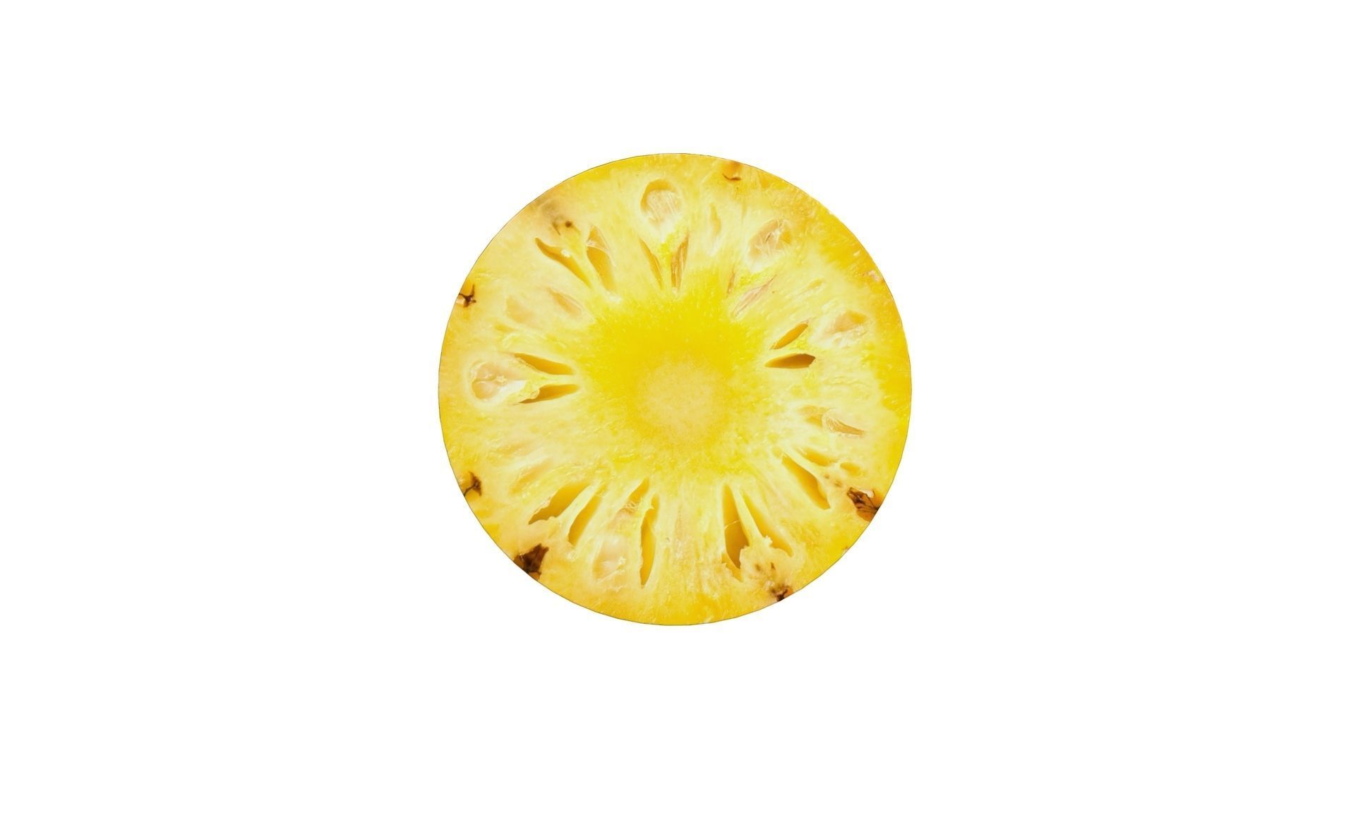 Prop15 A Slice of Pineapple Low-poly 3D model_7