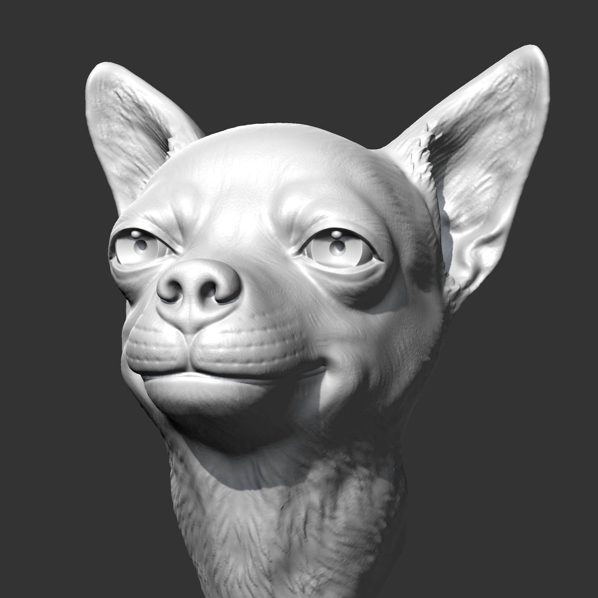 Chihuahua Head AM29 3D print model 3D print model_1
