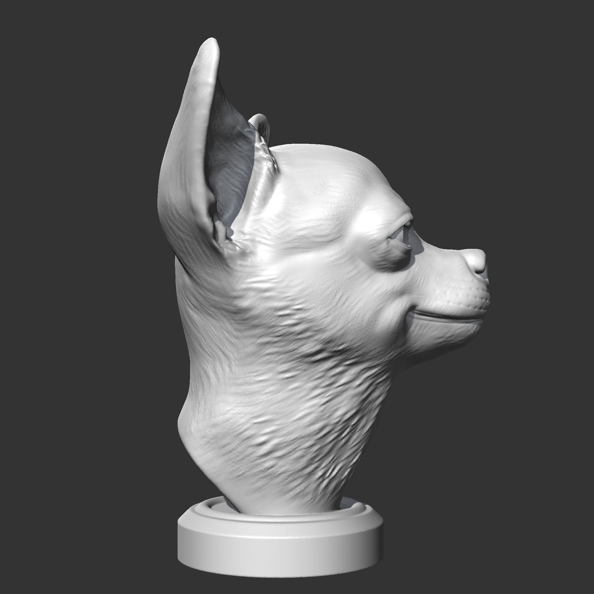 Chihuahua Head AM29 3D print model 3D print model_7