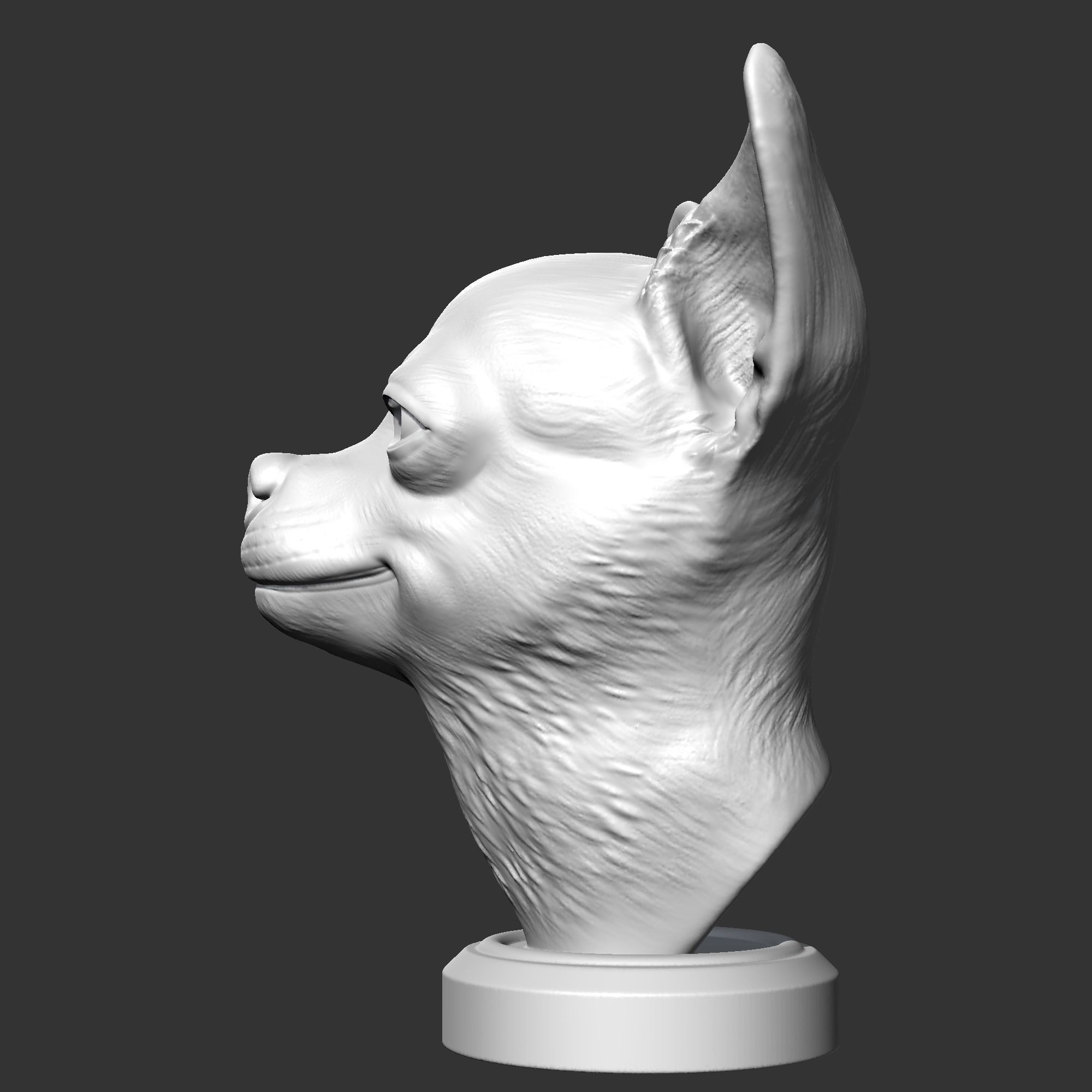 Chihuahua Head AM29 3D print model 3D print model_5