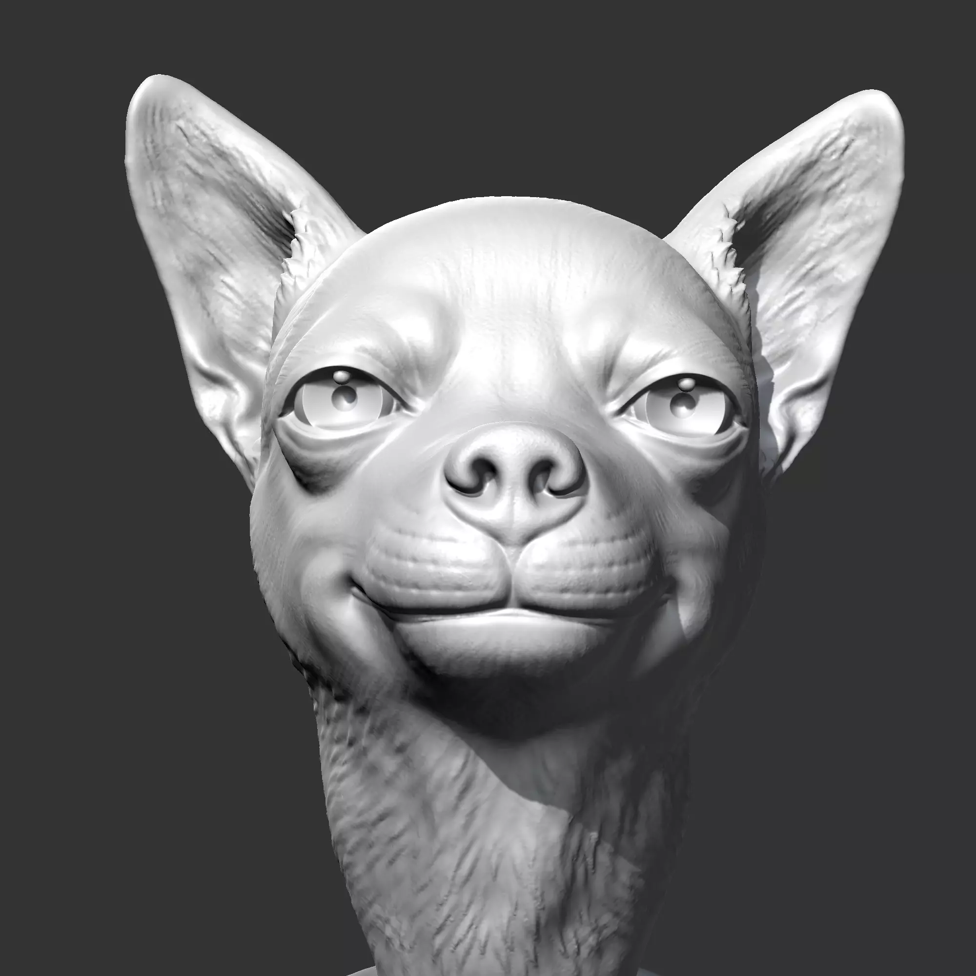 Chihuahua Head AM29 3D print model 3D print model_0