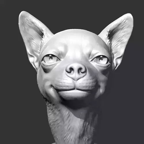 Chihuahua Head AM29 3D print model