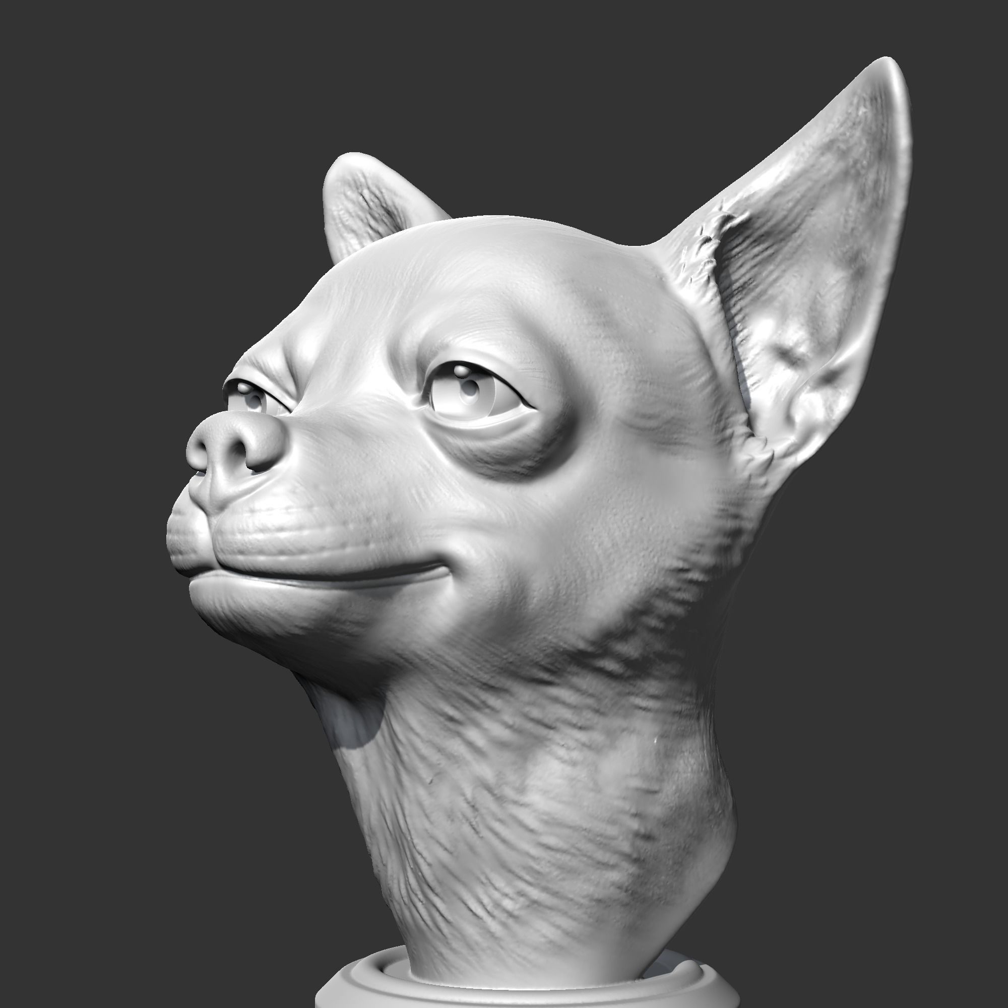 Chihuahua Head AM29 3D print model 3D print model_3