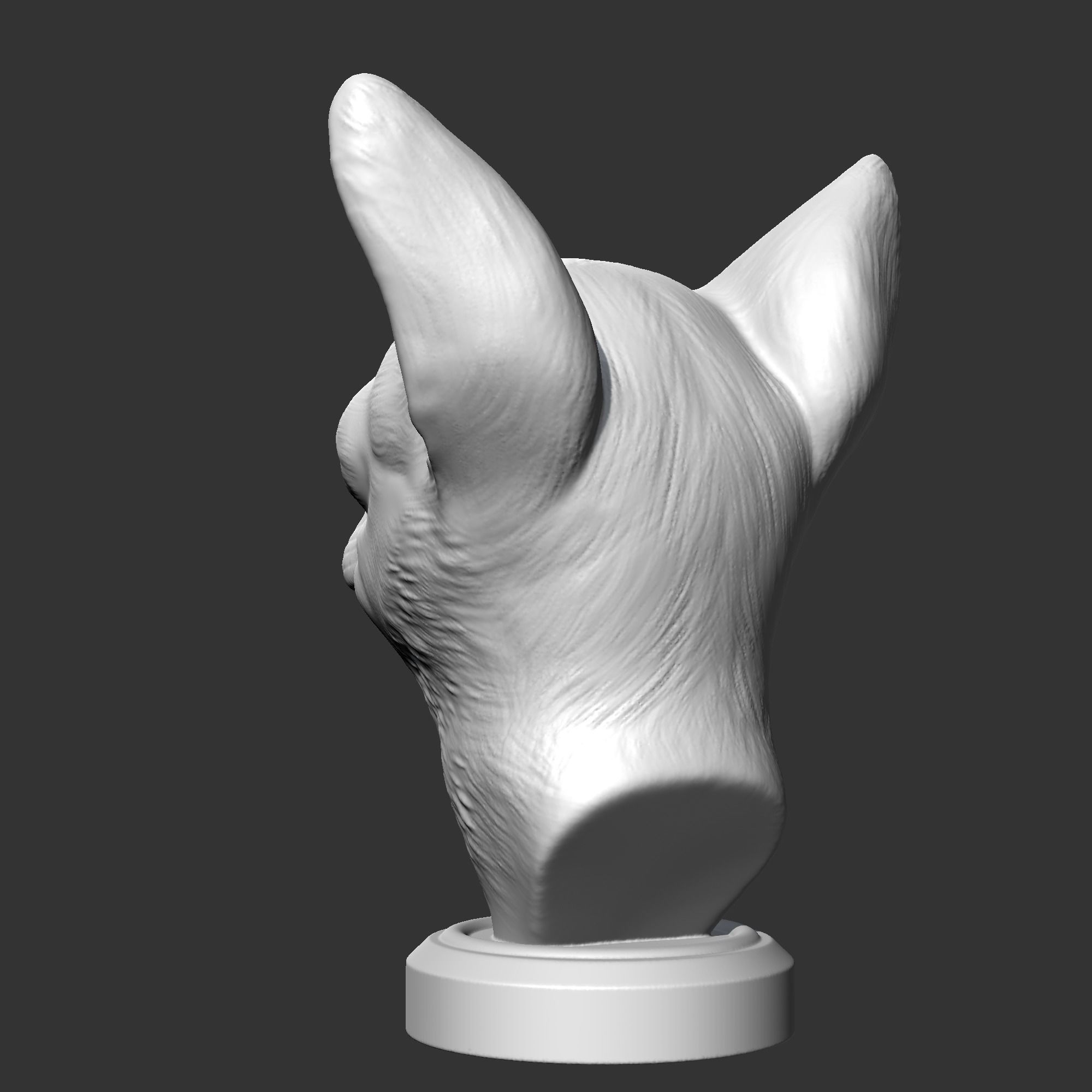 Chihuahua Head AM29 3D print model 3D print model_6