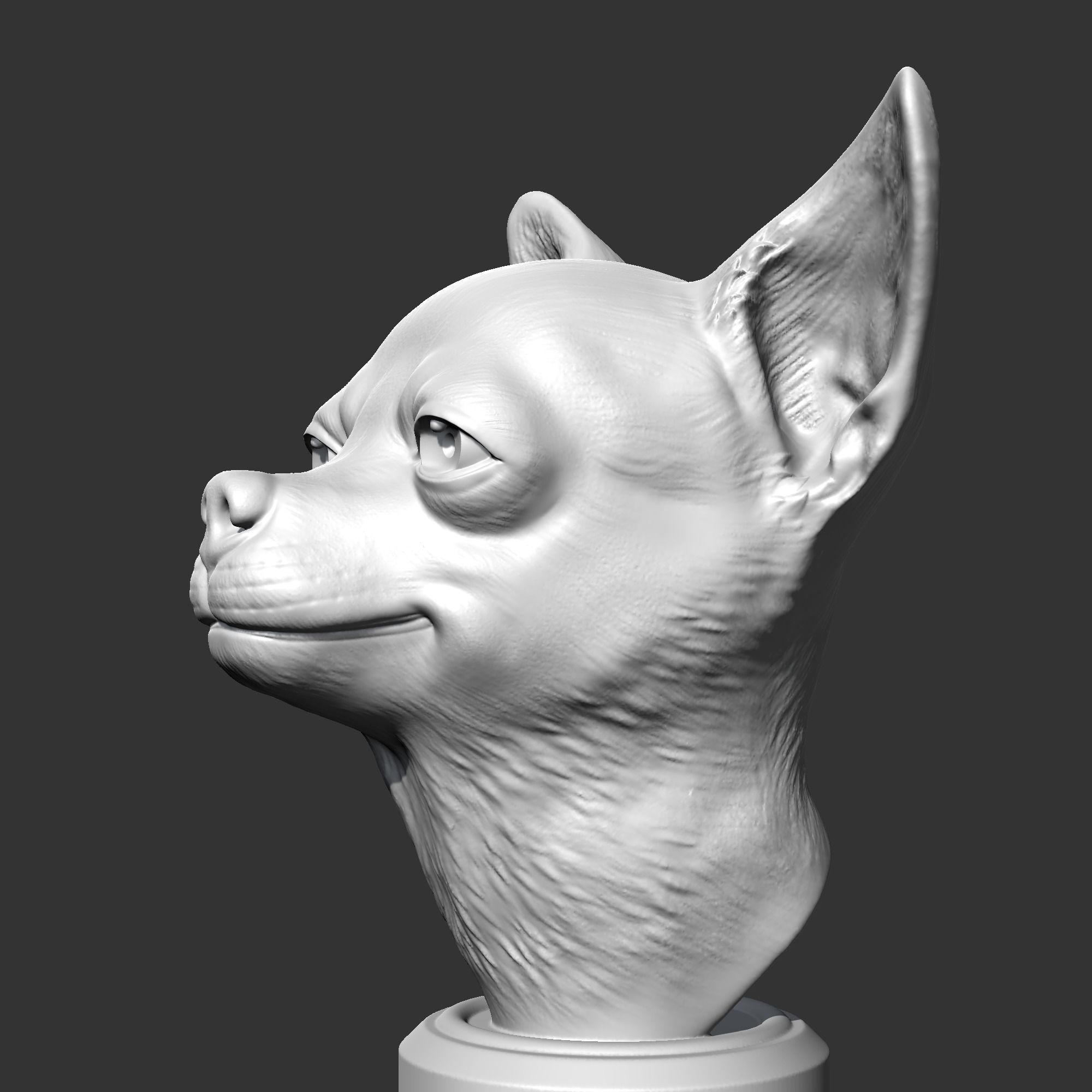 Chihuahua Head AM29 3D print model 3D print model_4