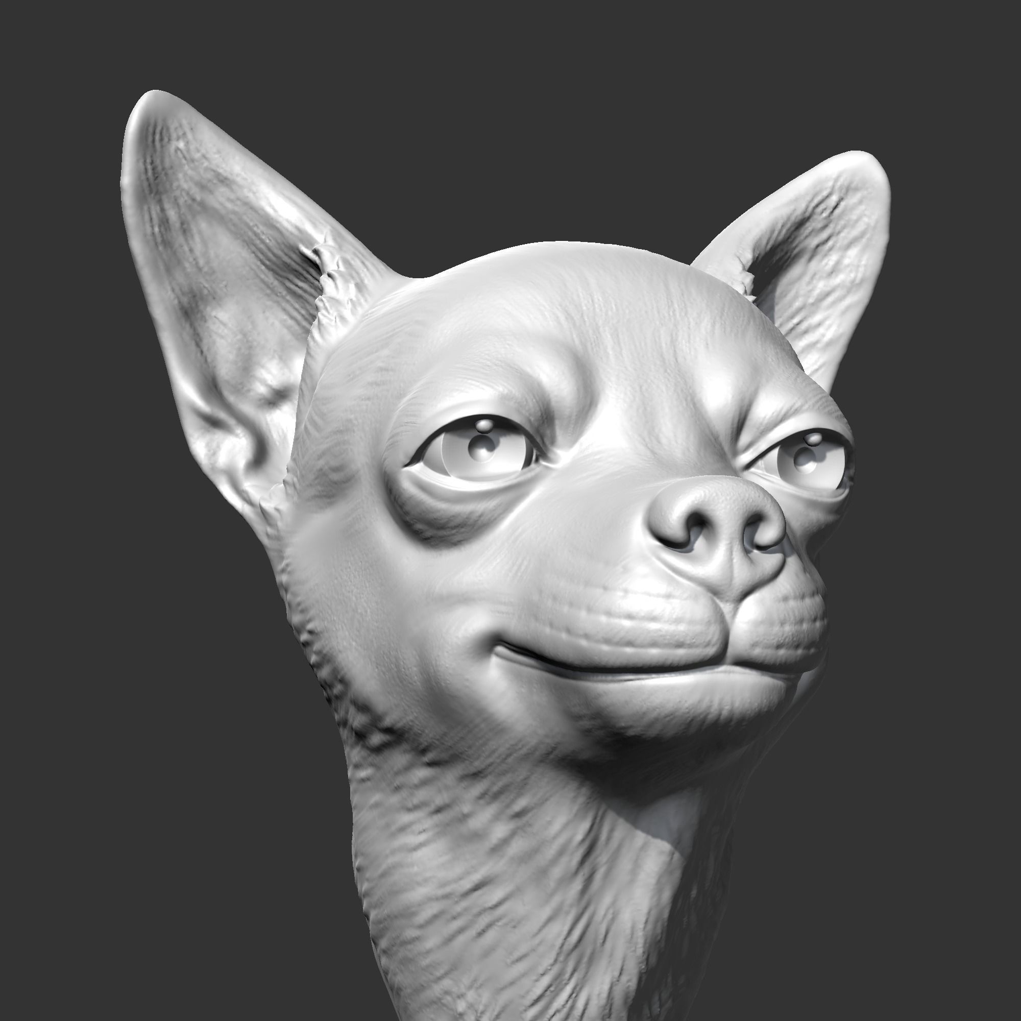 Chihuahua Head AM29 3D print model 3D print model_2