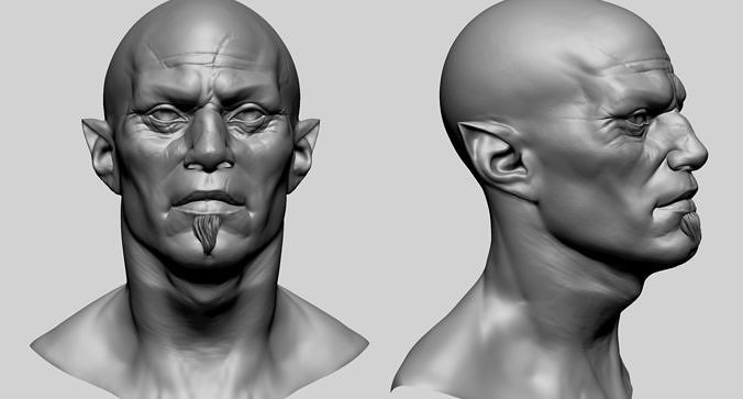 Male Head R 3D model