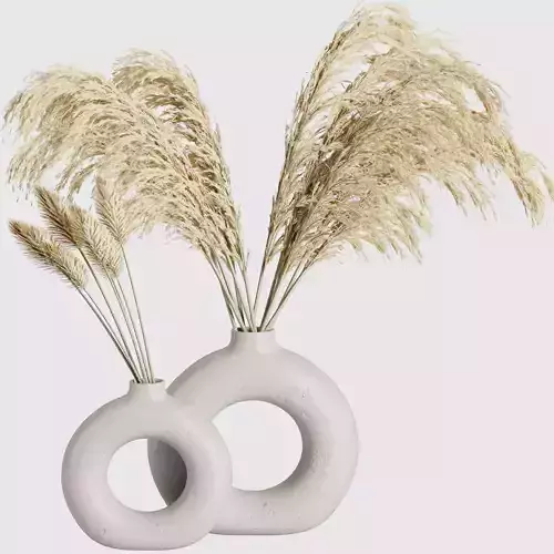 Indoor Plant Pampas Set2