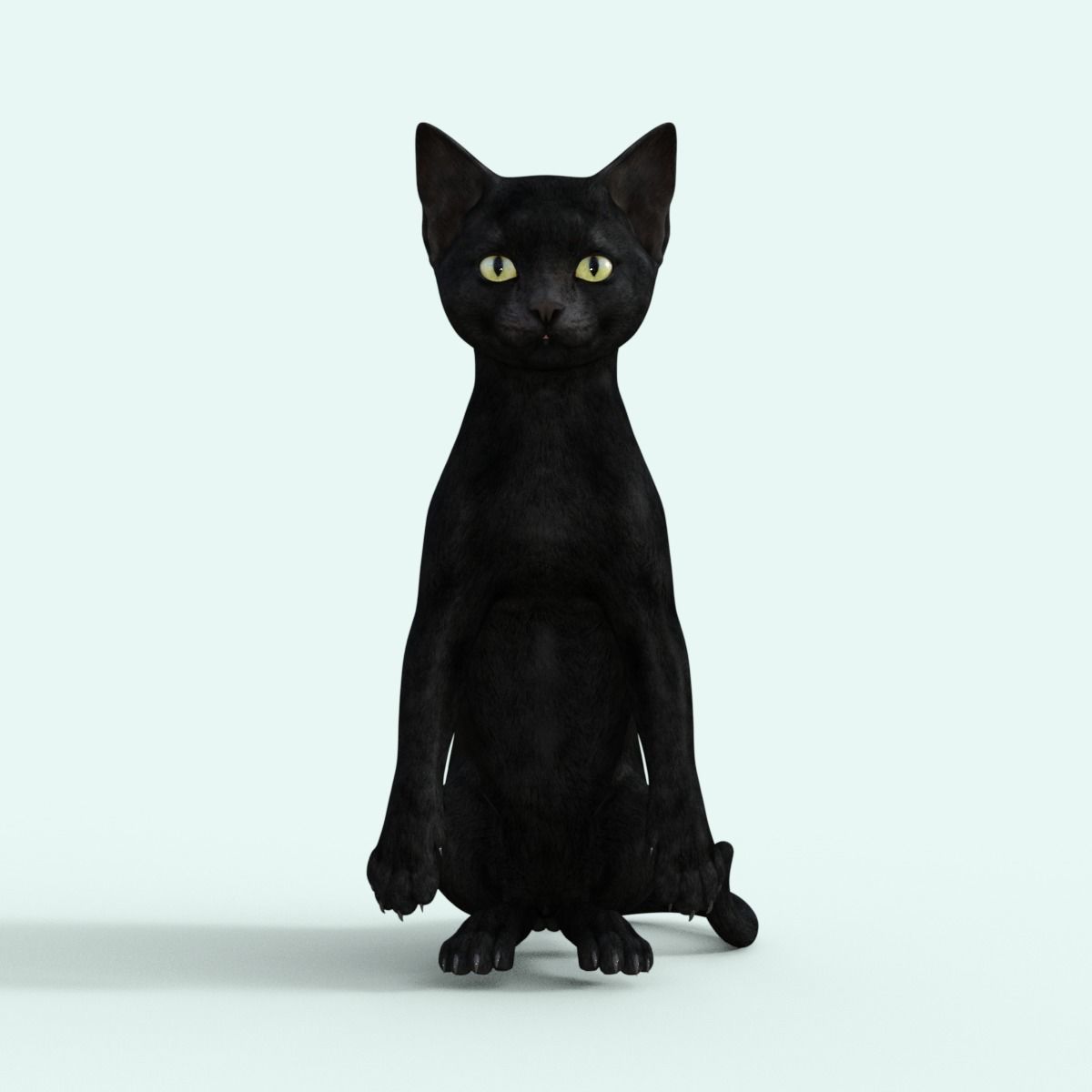 Realistic 3D Black  Kitten Rigged 3D model_15