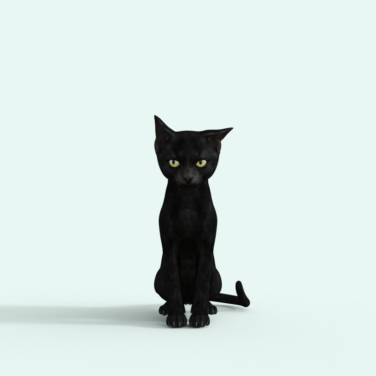 Realistic 3D Black  Kitten Rigged 3D model_20