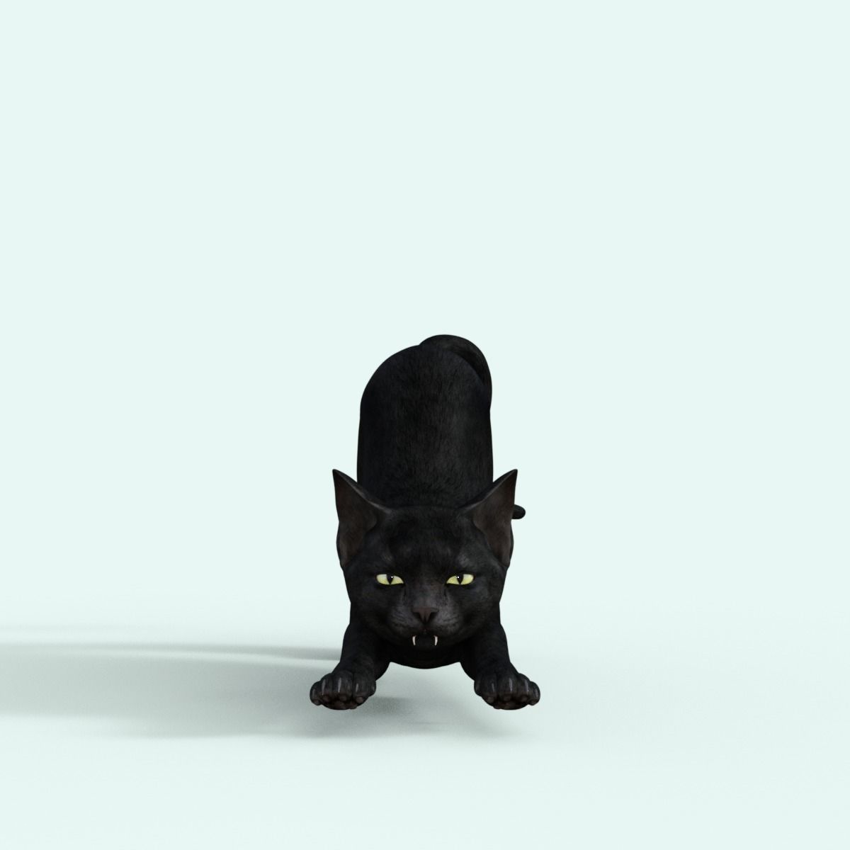 Realistic 3D Black  Kitten Rigged 3D model_14