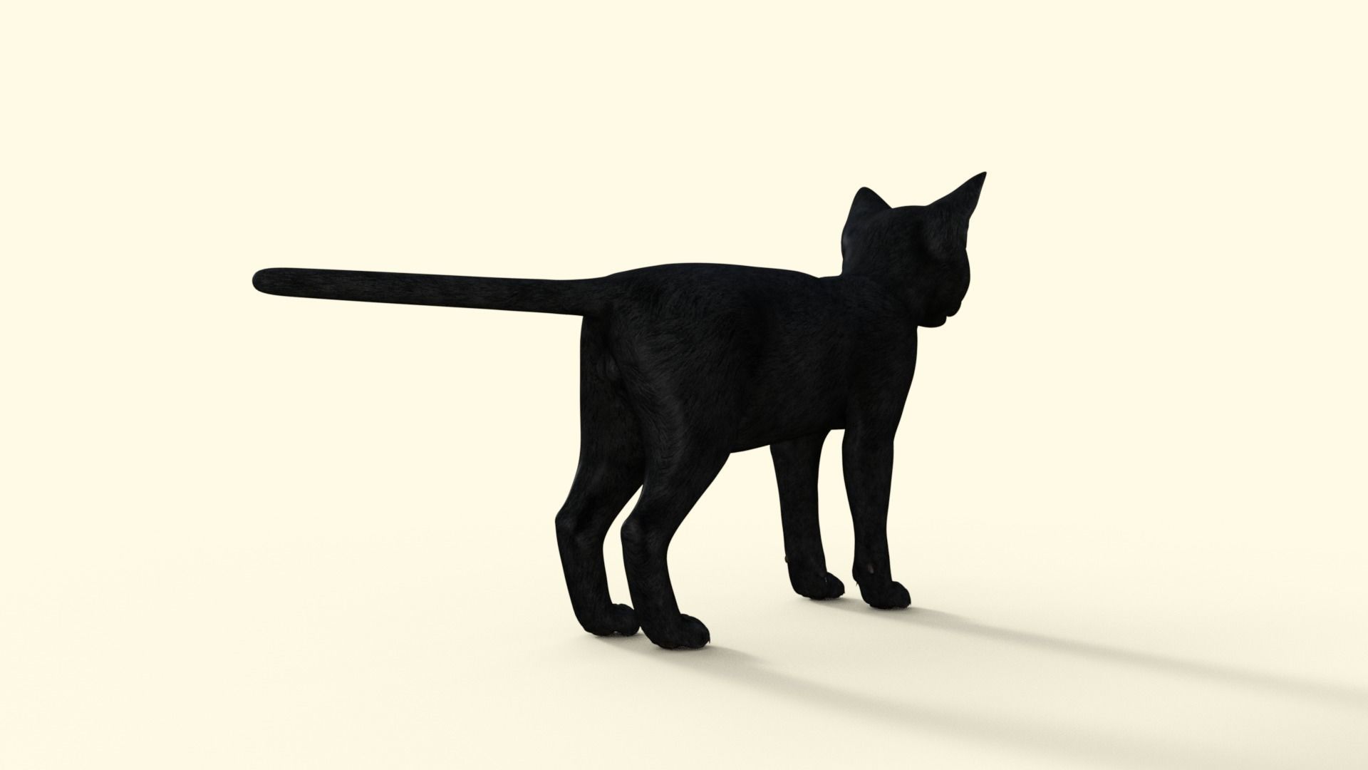 Realistic 3D Black  Kitten Rigged 3D model_33