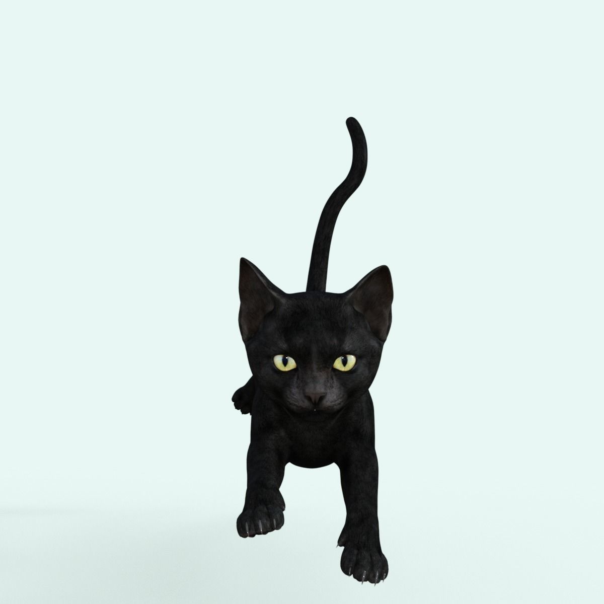 Realistic 3D Black  Kitten Rigged 3D model_13